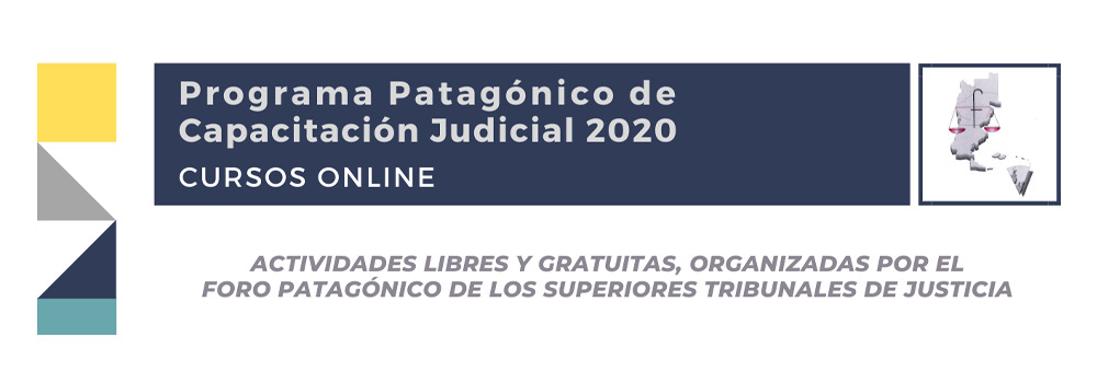 Imagen de FORO PATAGÓNICO DE TRIBUNALES SUPERIORES - Programa Patagónico de Capacitación Judicial 2020